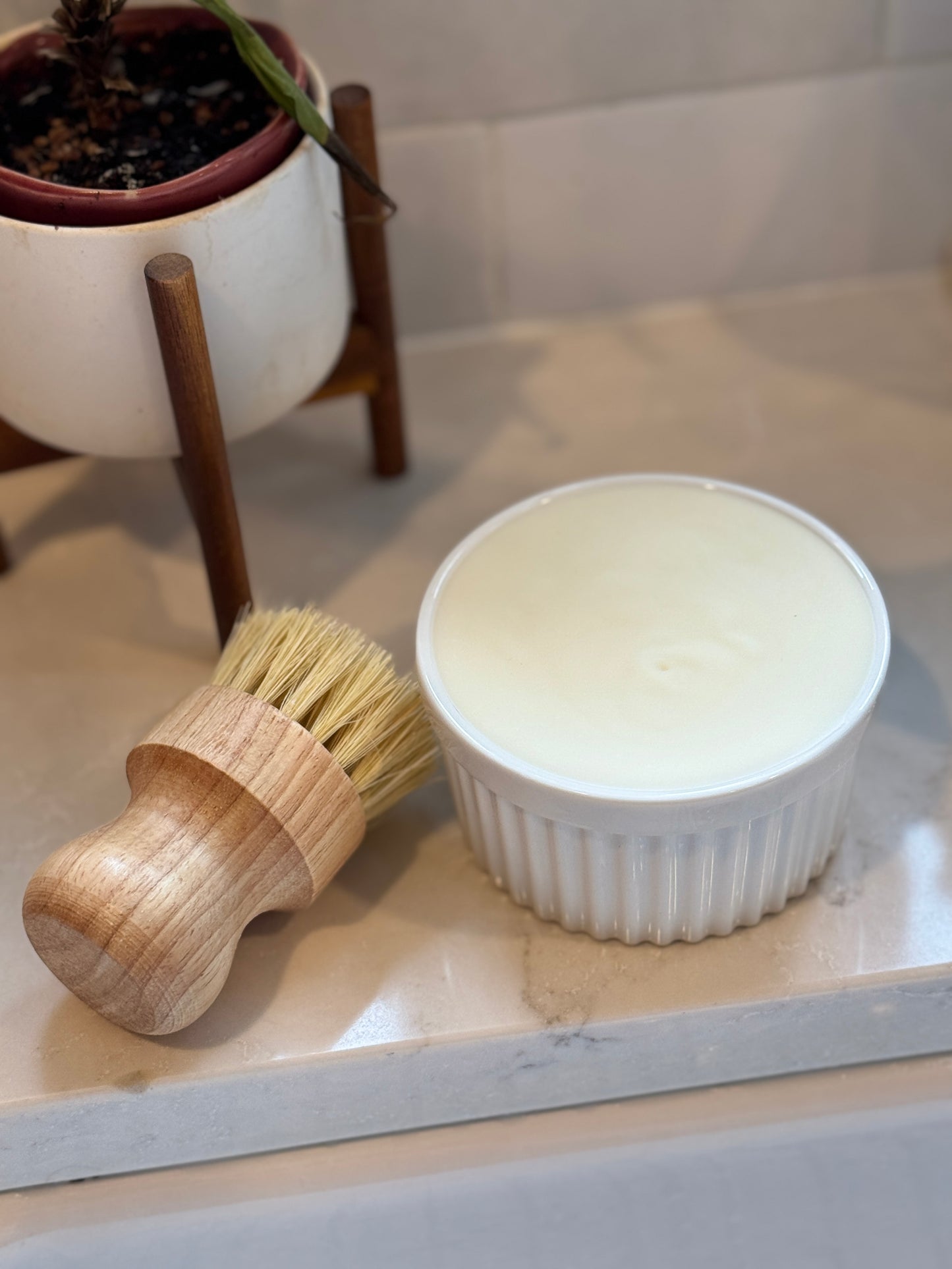 Sustainable Solid Dish Soap Set