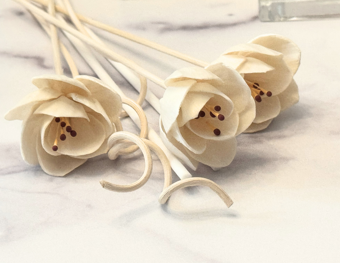 Limited-edition, Floral Diffuser Reeds. This botanical bundle of reeds features two (2) natural rattan spiral diffuser reeds, two (2) white fiber diffuser reeds and three (3) flower diffuser reeds. They are placed on a white marble tabletop.