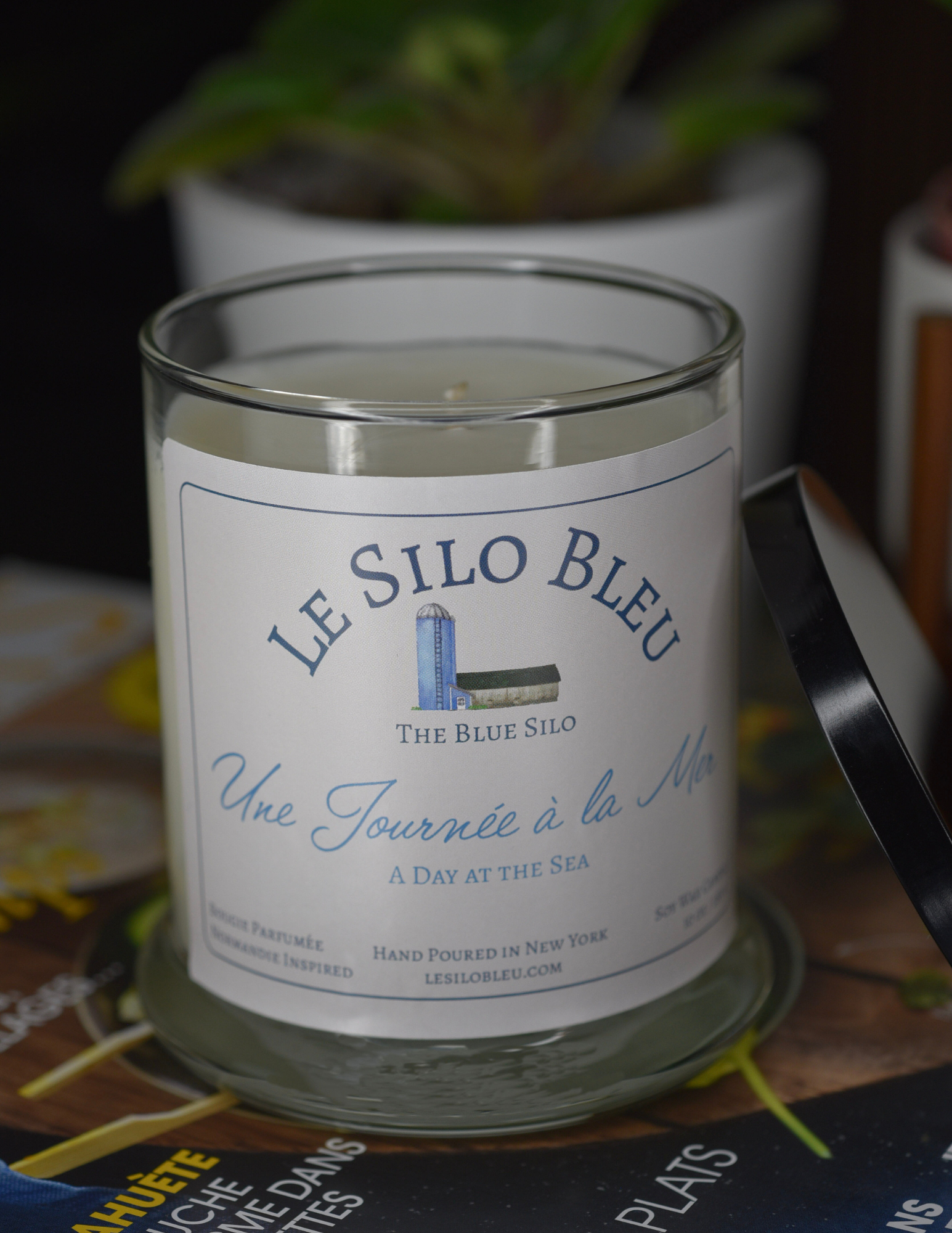 A beachwood  and sea mineral scented candle is sitting on top of a French magazine with a plant in a white pot in the background.