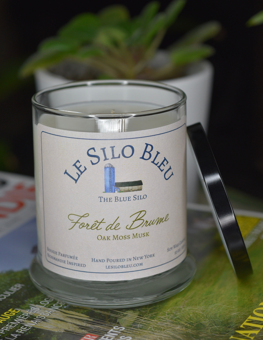 Foret de Baume, an Oak Moss and Musk scented candle with black lid to the side. Candle is sitting on top of a French magazine with a plant in a white pot in the background.