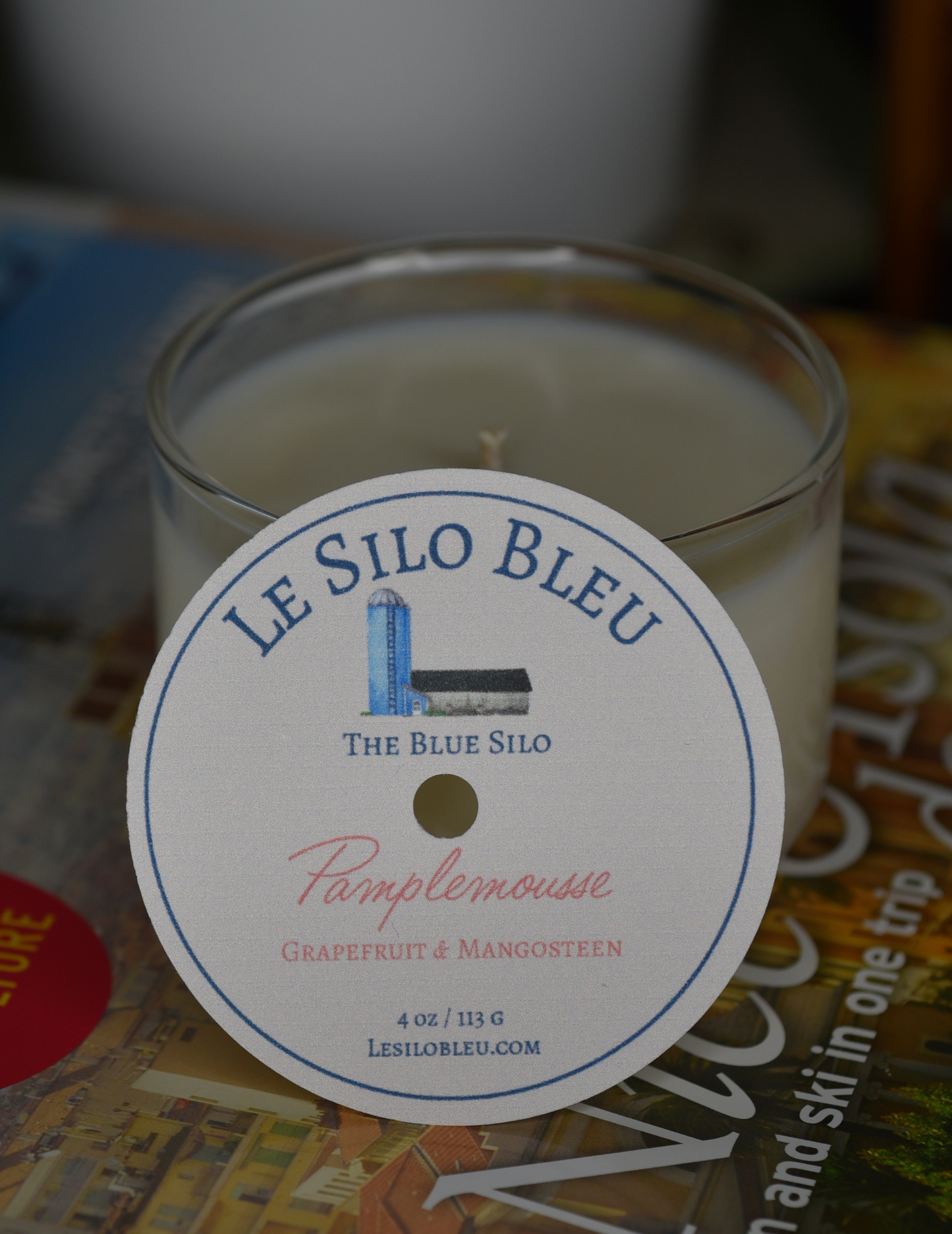 A grapefruit scented candle is sitting on top of a French books with a plant in a white pot in the background.