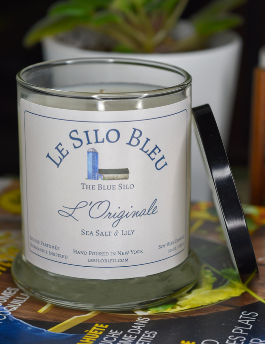 Sea Salt and Lily scented candle is sitting on top of a French magazine with a plant in a white pot in the background.