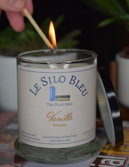A classic vanilla scented candle is sitting on top of a French magazine with a plant in a white pot in the background.