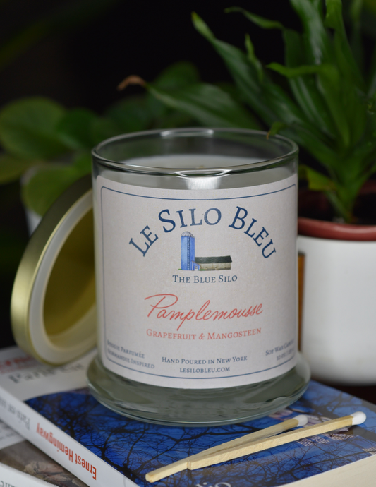 A grapefruit scented candle is sitting on top of a French books with a plant in a white pot in the background.