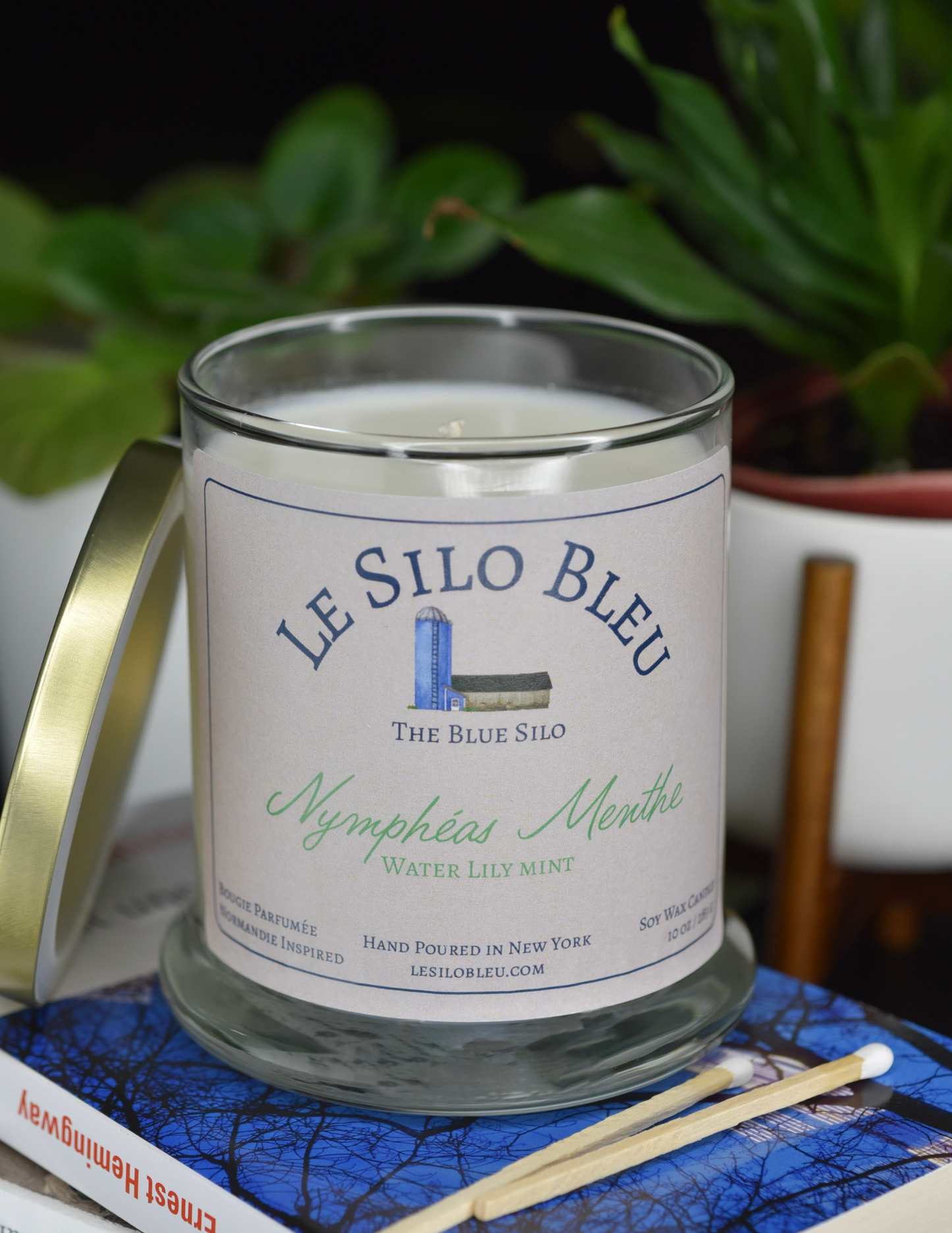 A waterlily and mint scented candle is sitting on top of a French books with a plant in a white pot in the background.